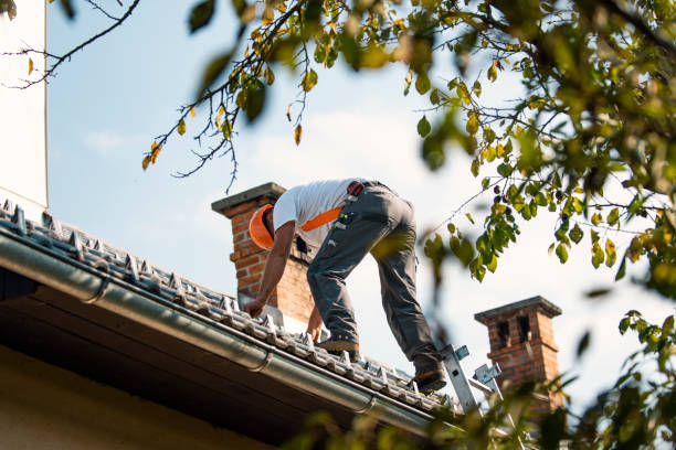 Best Rubber Roofing (EPDM, TPO)  in Sewanee, TN